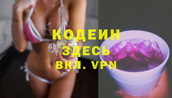 PSILOCYBIN Рославль