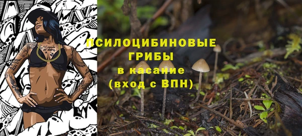 PSILOCYBIN Рославль