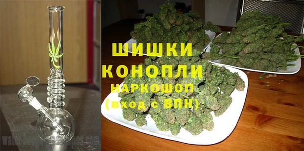 PSILOCYBIN Рославль