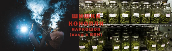 PSILOCYBIN Рославль