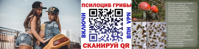 Галлюциногенные грибы мухоморы  mega сайт  Артёмовск 